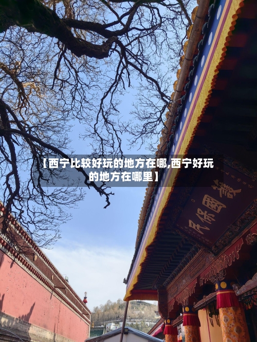【西宁比较好玩的地方在哪,西宁好玩的地方在哪里】-第3张图片