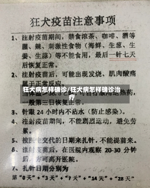 狂犬病怎样确诊/狂犬病怎样确诊治疗