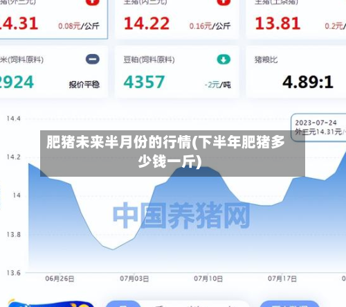肥猪未来半月份的行情(下半年肥猪多少钱一斤)-第3张图片