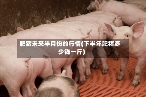 肥猪未来半月份的行情(下半年肥猪多少钱一斤)-第2张图片