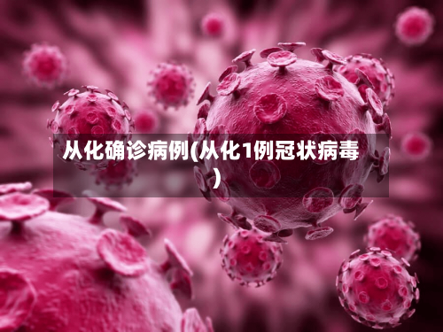 从化确诊病例(从化1例冠状病毒)