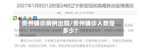 贵州确诊病例出院/贵州确诊人数是多少?-第2张图片