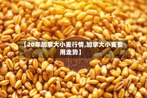 【20年加拿大小麦行情,加拿大小麦费用走势】-第2张图片