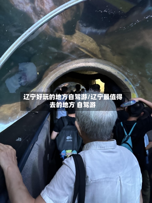 辽宁好玩的地方自驾游/辽宁最值得去的地方 自驾游-第2张图片