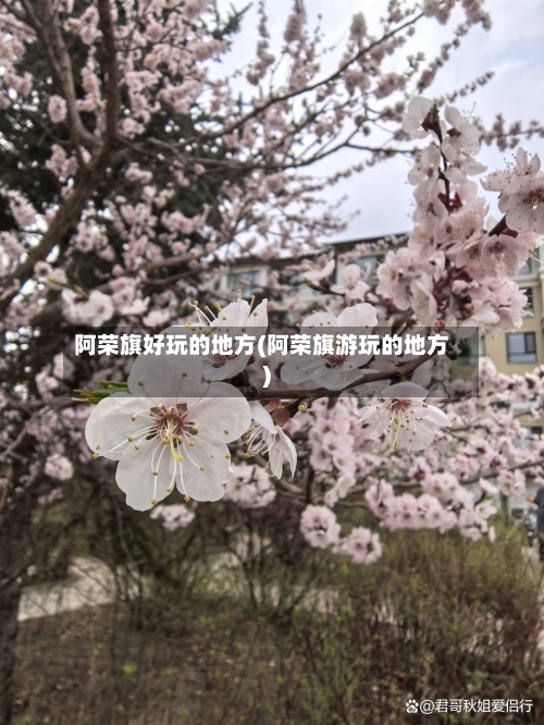 阿荣旗好玩的地方(阿荣旗游玩的地方)