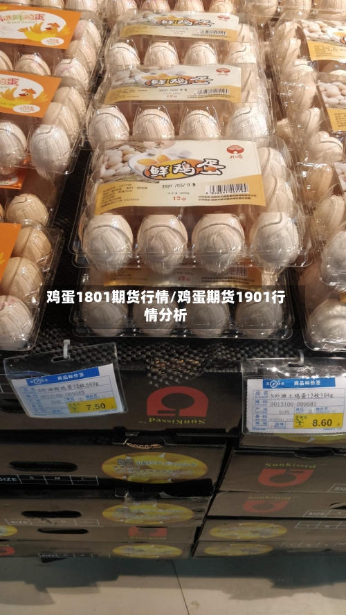 鸡蛋1801期货行情/鸡蛋期货1901行情分析