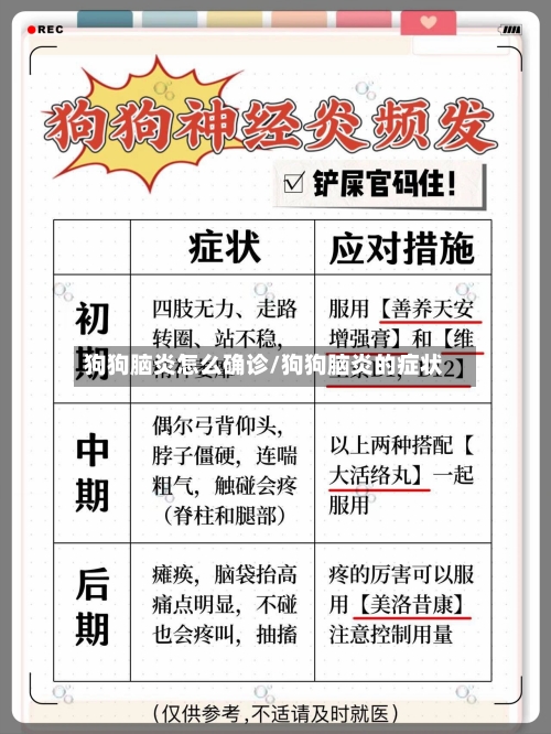 狗狗脑炎怎么确诊/狗狗脑炎的症状-第2张图片