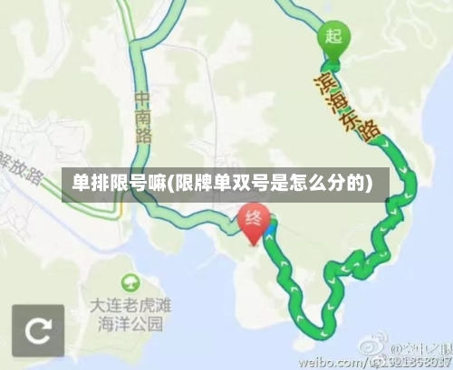 单排限号嘛(限牌单双号是怎么分的)-第2张图片