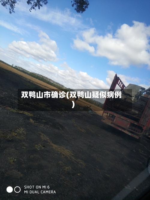 双鸭山市确诊(双鸭山疑似病例)-第2张图片