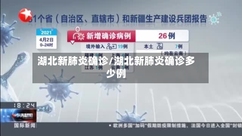 湖北新肺炎确诊/湖北新肺炎确诊多少例-第2张图片