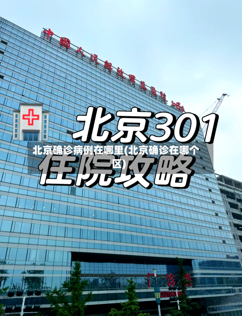 北京确诊病例在哪里(北京确诊在哪个区)-第2张图片