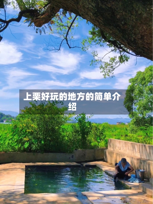 上栗好玩的地方的简单介绍-第3张图片