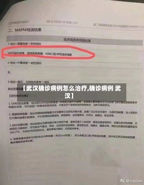【武汉确诊病例怎么治疗,确诊病例 武汉】-第2张图片