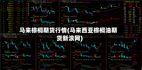 马来棕榈期货行情(马来西亚棕榈油期货新浪网)