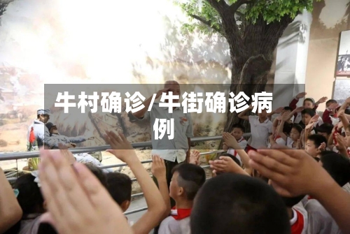 牛村确诊/牛街确诊病例-第1张图片