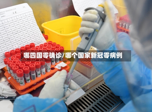 哪四国零确诊/哪个国家新冠零病例