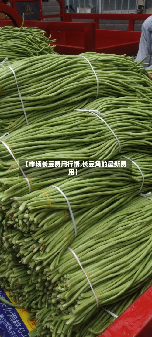 【市场长豆费用行情,长豆角的最新费用】