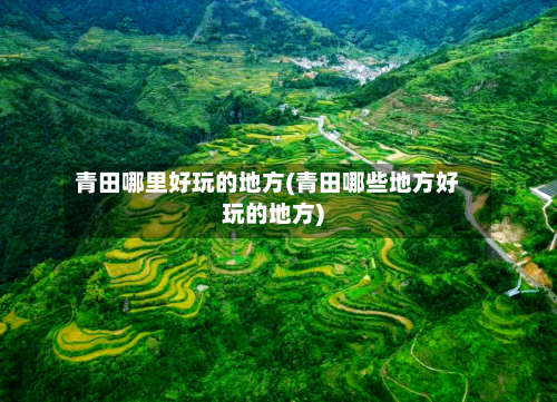 青田哪里好玩的地方(青田哪些地方好玩的地方)