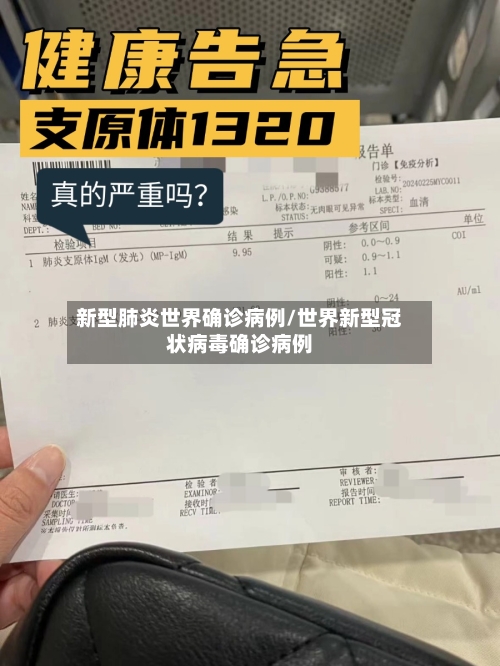 新型肺炎世界确诊病例/世界新型冠状病毒确诊病例