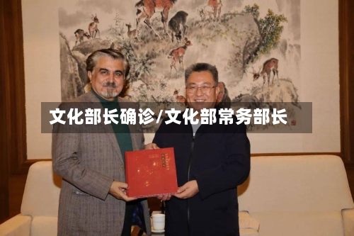 文化部长确诊/文化部常务部长