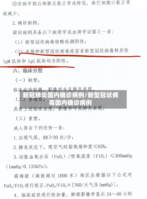 新冠肺炎国内确诊病例/新型冠状病毒国内确诊病例-第3张图片