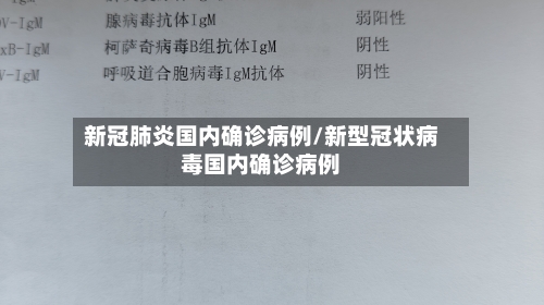 新冠肺炎国内确诊病例/新型冠状病毒国内确诊病例