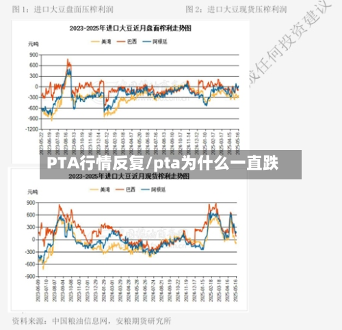 PTA行情反复/pta为什么一直跌