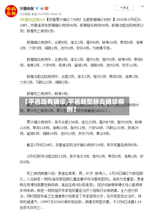 【平邑现有确诊,平邑新型肺炎确诊病例】-第2张图片