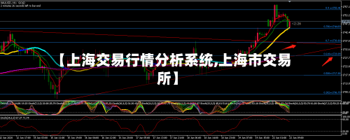 【上海交易行情分析系统,上海市交易所】