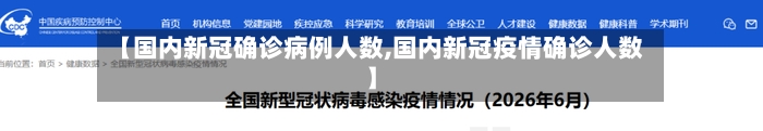 【国内新冠确诊病例人数,国内新冠疫情确诊人数】