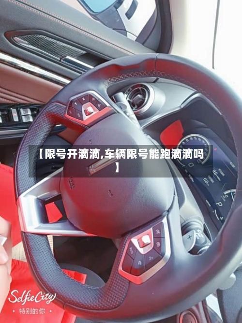 【限号开滴滴,车辆限号能跑滴滴吗】-第2张图片