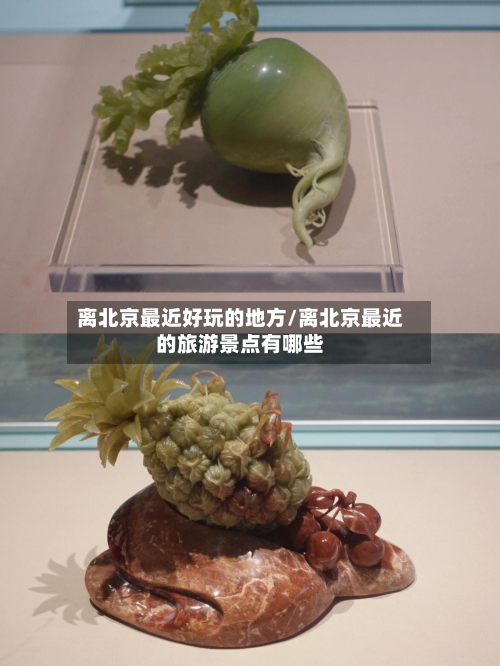 离北京最近好玩的地方/离北京最近的旅游景点有哪些-第2张图片