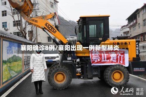 襄阳确诊8例/襄阳出现一例新型肺炎-第2张图片