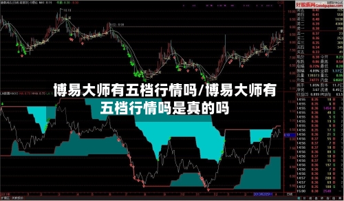 博易大师有五档行情吗/博易大师有五档行情吗是真的吗-第1张图片