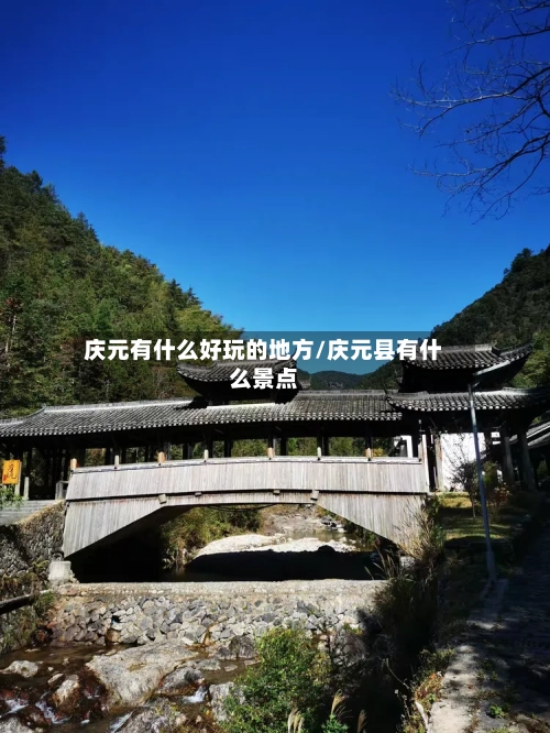 庆元有什么好玩的地方/庆元县有什么景点