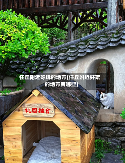 任丘附近好玩的地方(任丘附近好玩的地方有哪些)-第2张图片