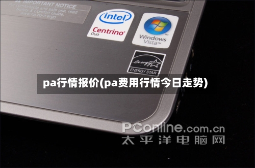 pa行情报价(pa费用行情今日走势)-第3张图片