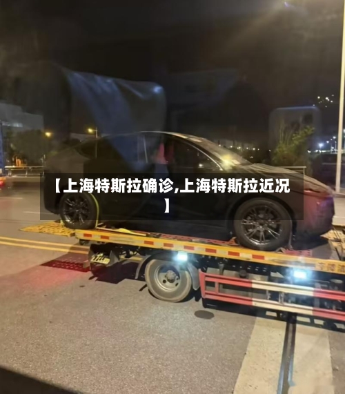 【上海特斯拉确诊,上海特斯拉近况】-第3张图片