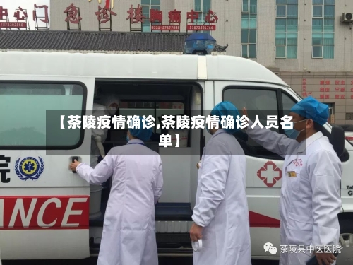 【茶陵疫情确诊,茶陵疫情确诊人员名单】-第2张图片