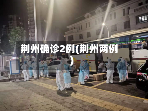 荆州确诊2例(荆州两例)-第3张图片
