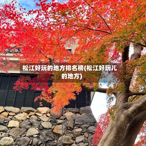 松江好玩的地方排名榜(松江好玩儿的地方)