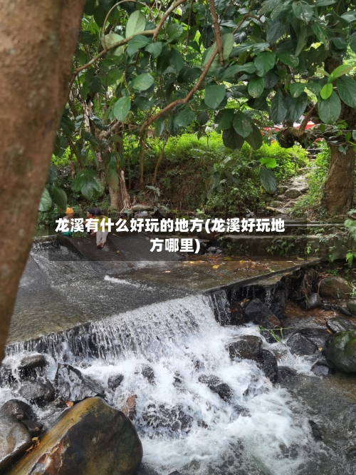 龙溪有什么好玩的地方(龙溪好玩地方哪里)