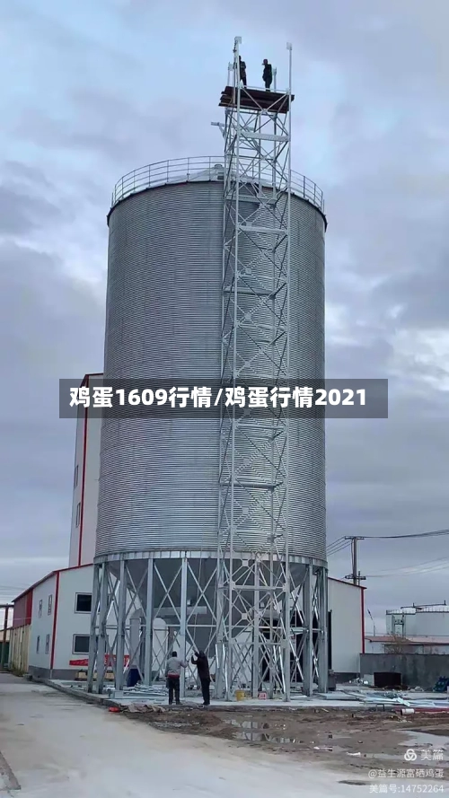 鸡蛋1609行情/鸡蛋行情2021